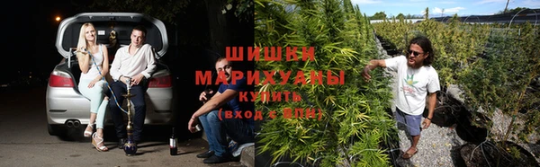 2c-b Алзамай