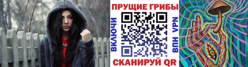 магазин  наркотиков  Кубинка  Галлюциногенные грибы ЛСД 