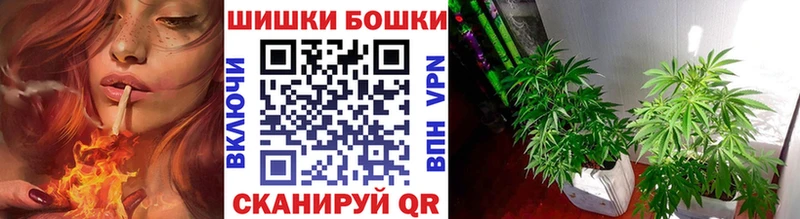 Бошки марихуана ГИДРОПОН  Кубинка 
